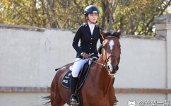 八重神子露副乳